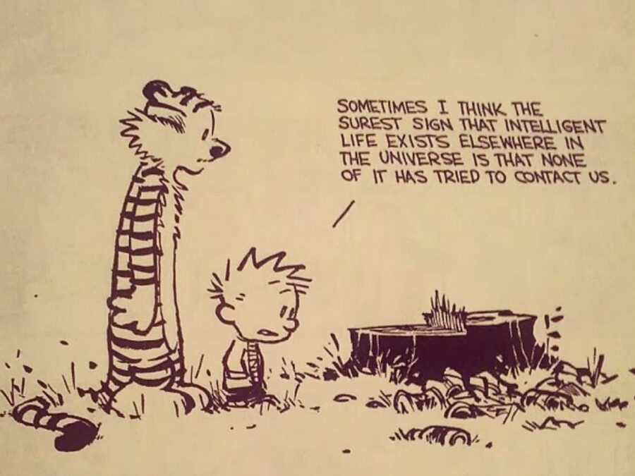 Intelligent Life could be out there.